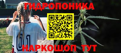 гашик Анапа