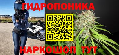стафф Анжеро-Судженск